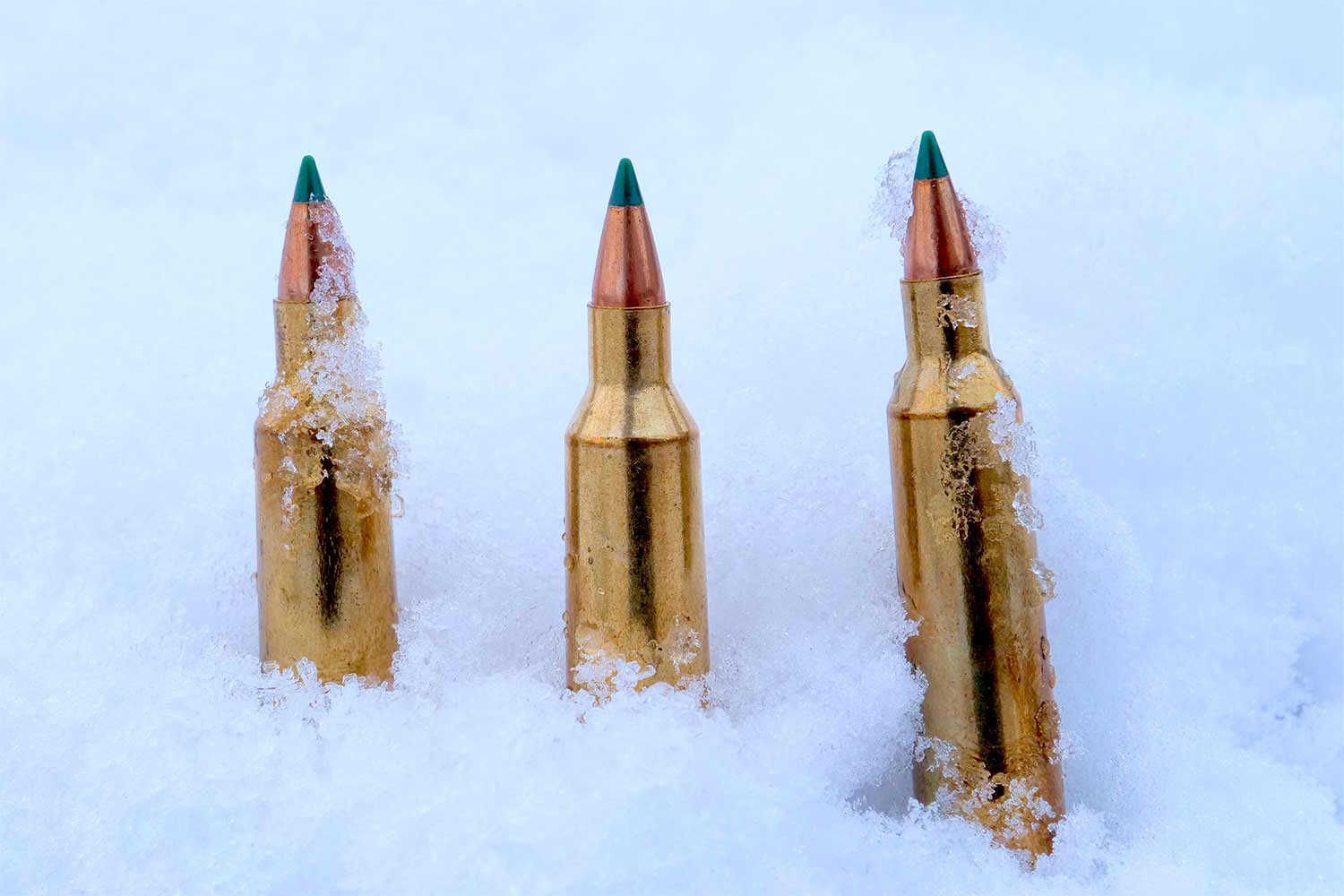 Rifle ammo in the snow.