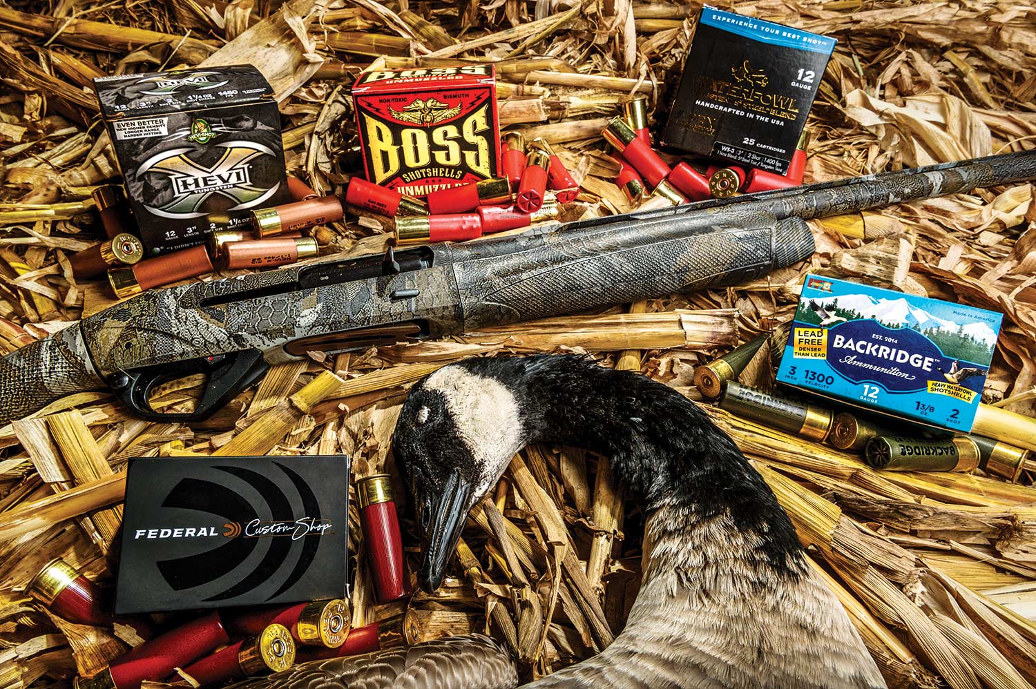 A collection of custom shotshell ammo used in Canada goose hunting.