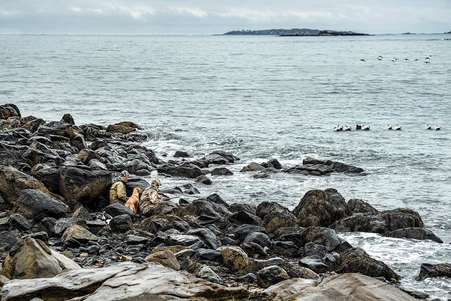 Hunters and a dog on on the New England coastline.