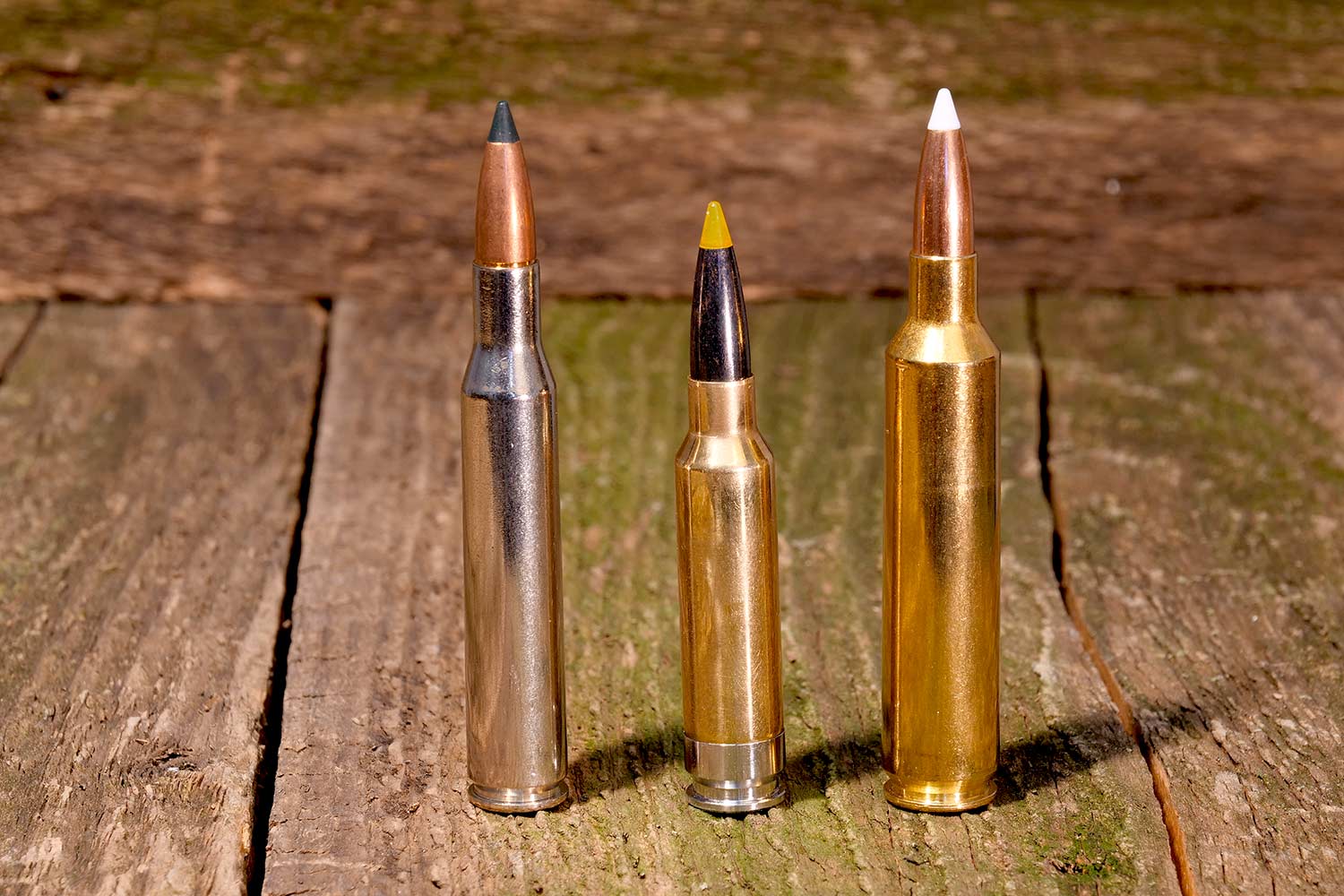 Three rifle cartridges