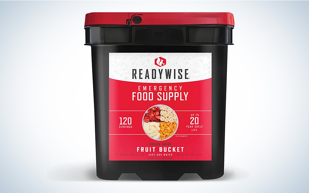 ReadyWise Freeze-Dried Fruit 120 Servings