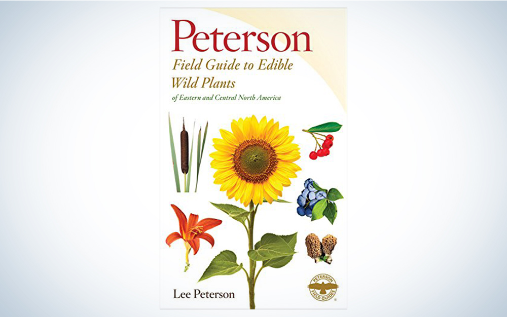 A Field Guide to Edible Wild Plants by Lee Allen Peterson