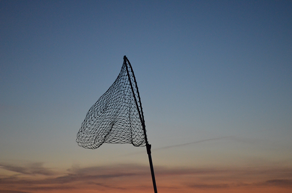fishing net in the air