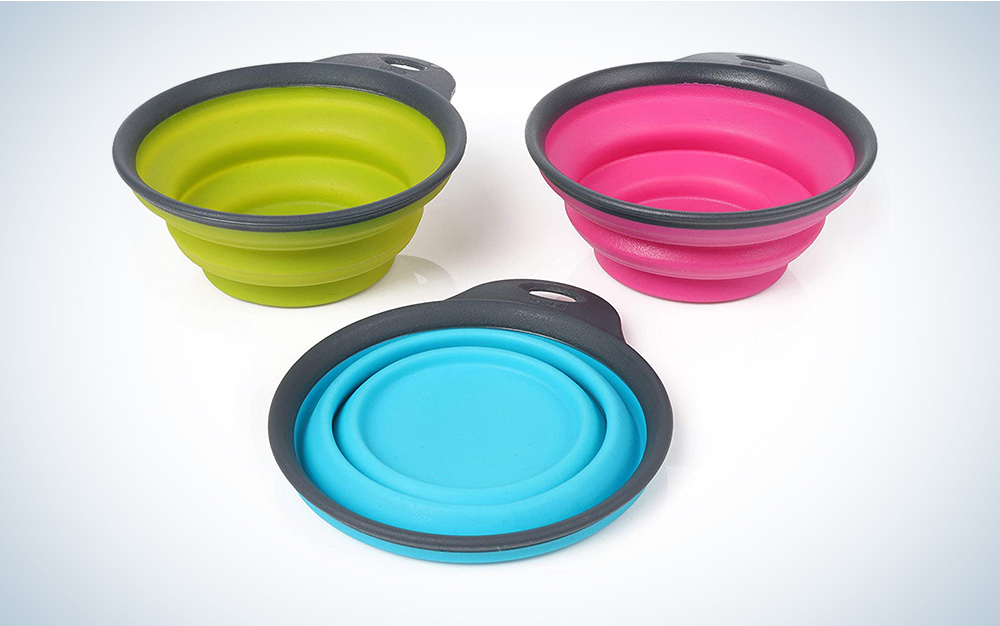 Dexas Popware for Pets Collapsible Travel Cup