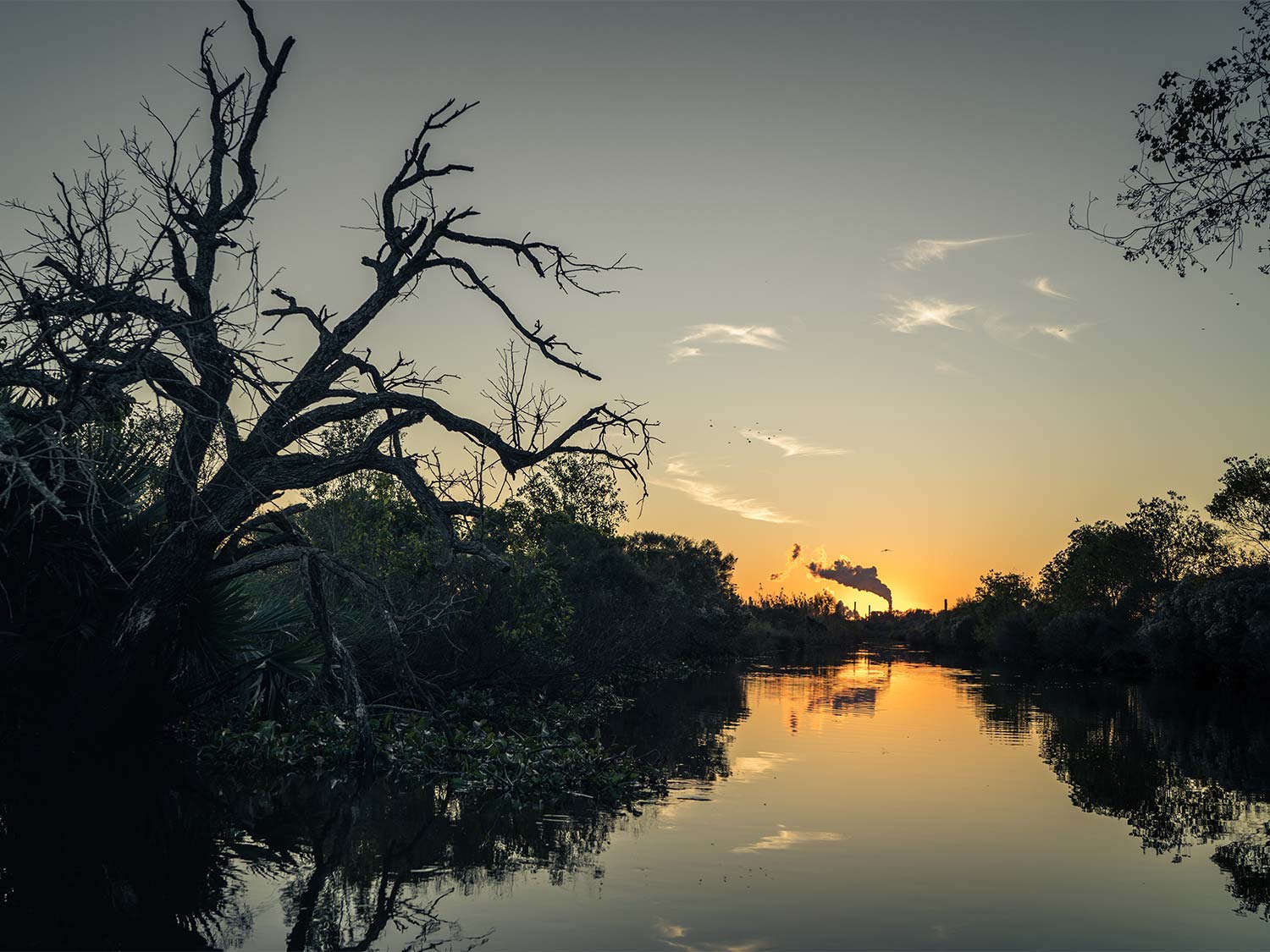 Twilight in the Louisiana delta.