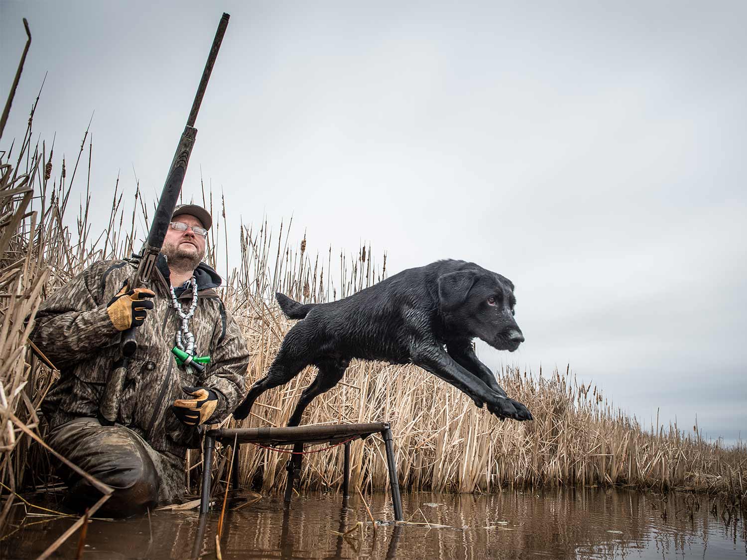 A man with a gun by a river while a black lab leaps into the water.