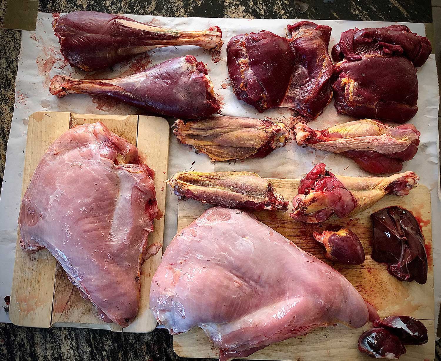Various cuts of wild turkey meat on a cutting board and paper.