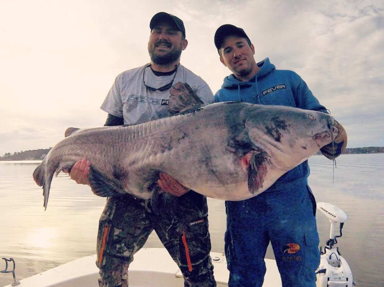 Two anglers holding up a large blue catfish.