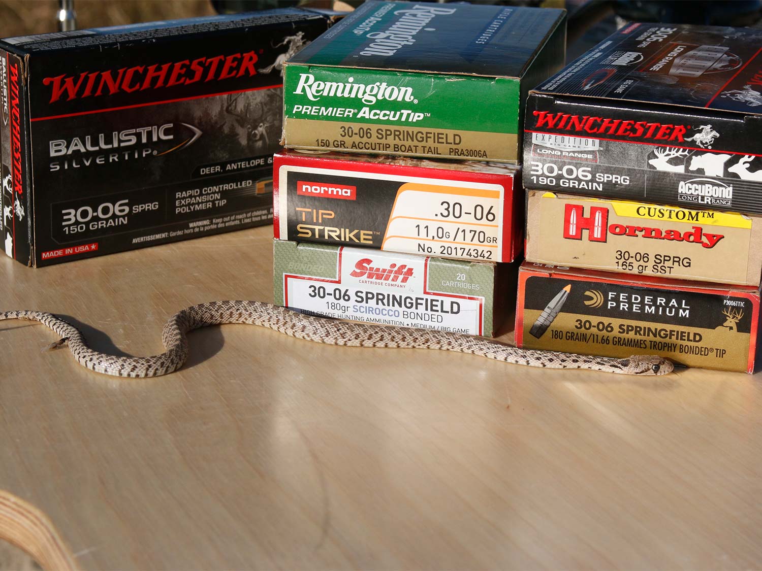 A snake beside boxes of hunting rifle cartridges.