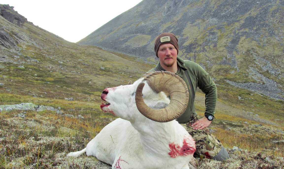 sheep hunt
