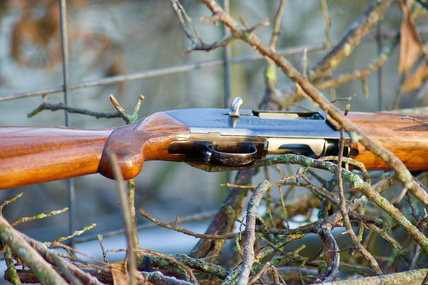 A Browning Double Auto shotgun amgon branches and twigs.