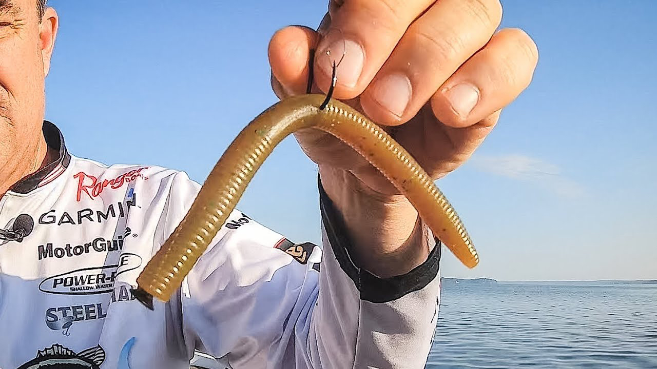 An angler holding up a senko rigged lure.