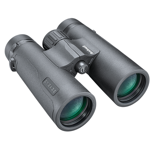 A pair of grey binoculars on a white background.