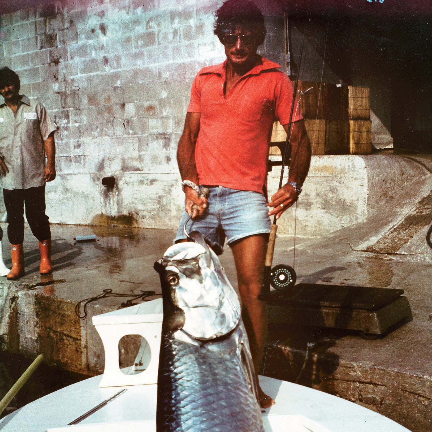 Madness, Obsession, and the Hunt for the World-Record Tarpon
