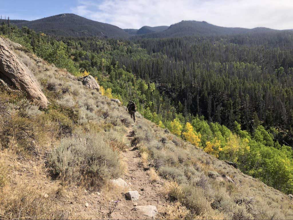 An elk hunter practicing steps on a hillside in a heavily forested area.
