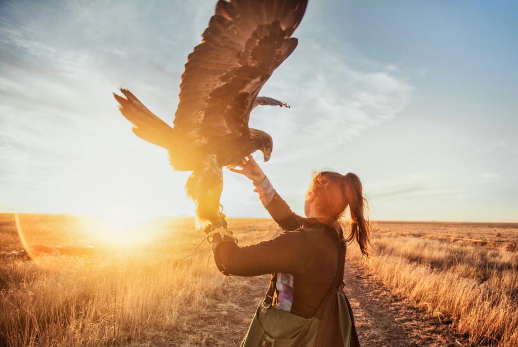 A woman stands in an open field with a golden eagle perched on her arm.