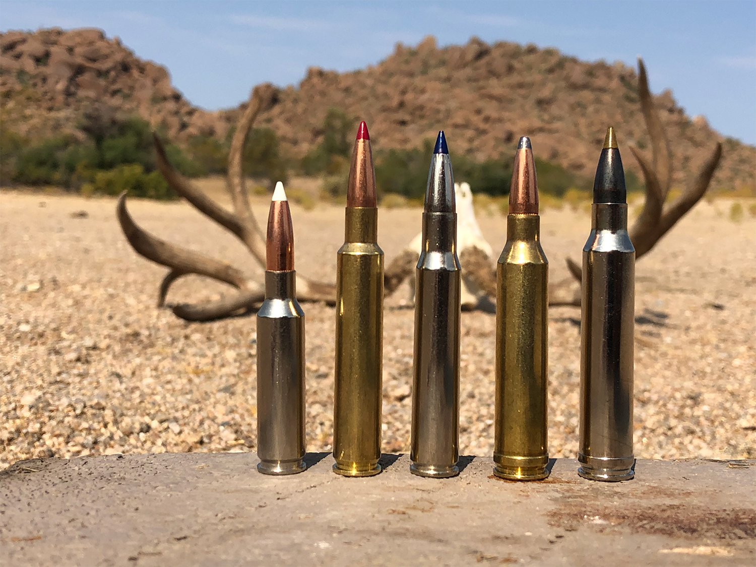 A lineup of rifle cartridges with antlers in the background.