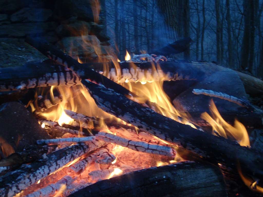 A small fire burning at night in the woods.