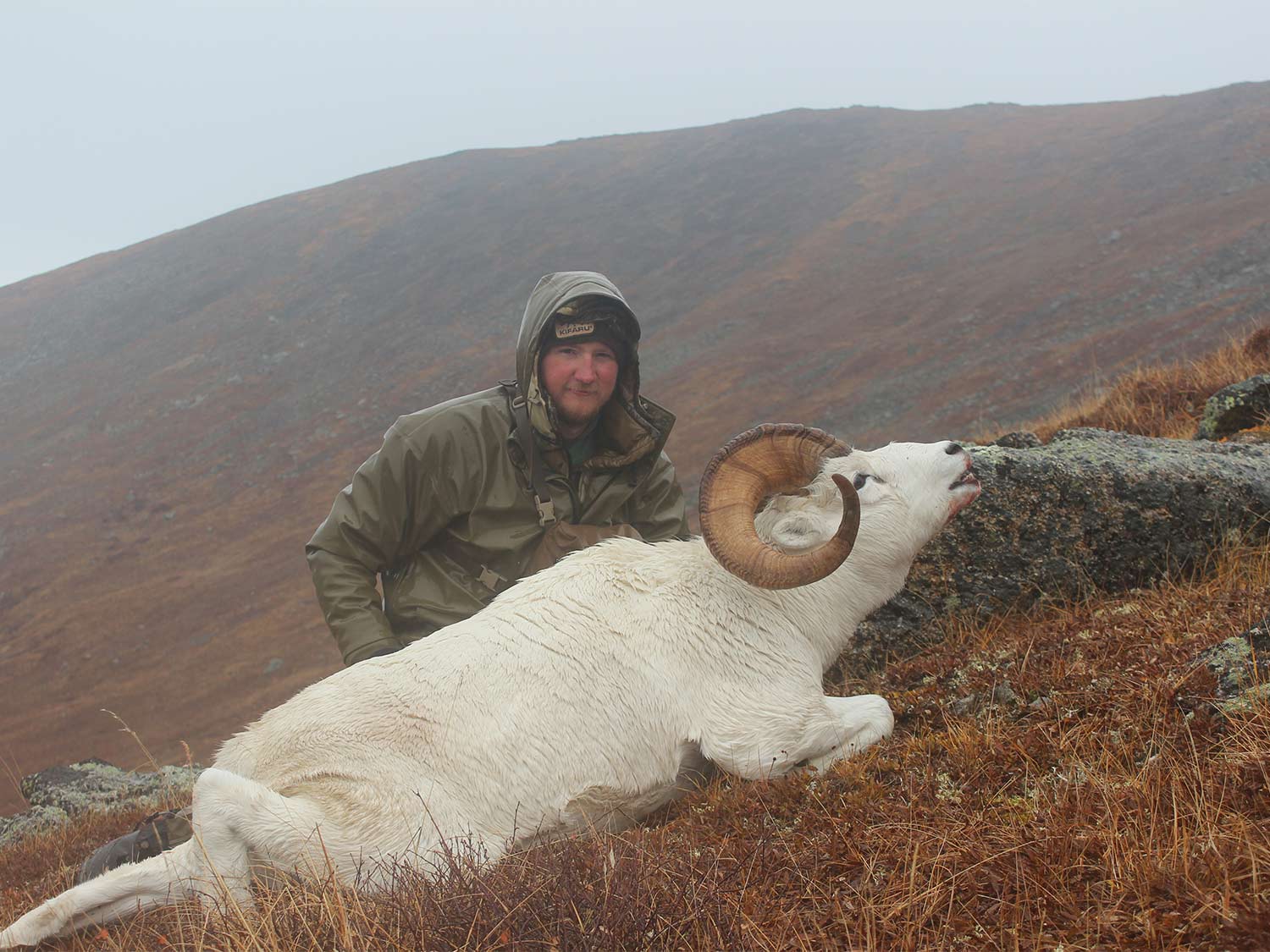 A hunter kneeling behind a white sheep.