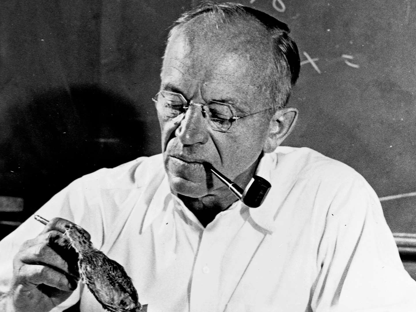 A black and white photo of a man holding specimens.