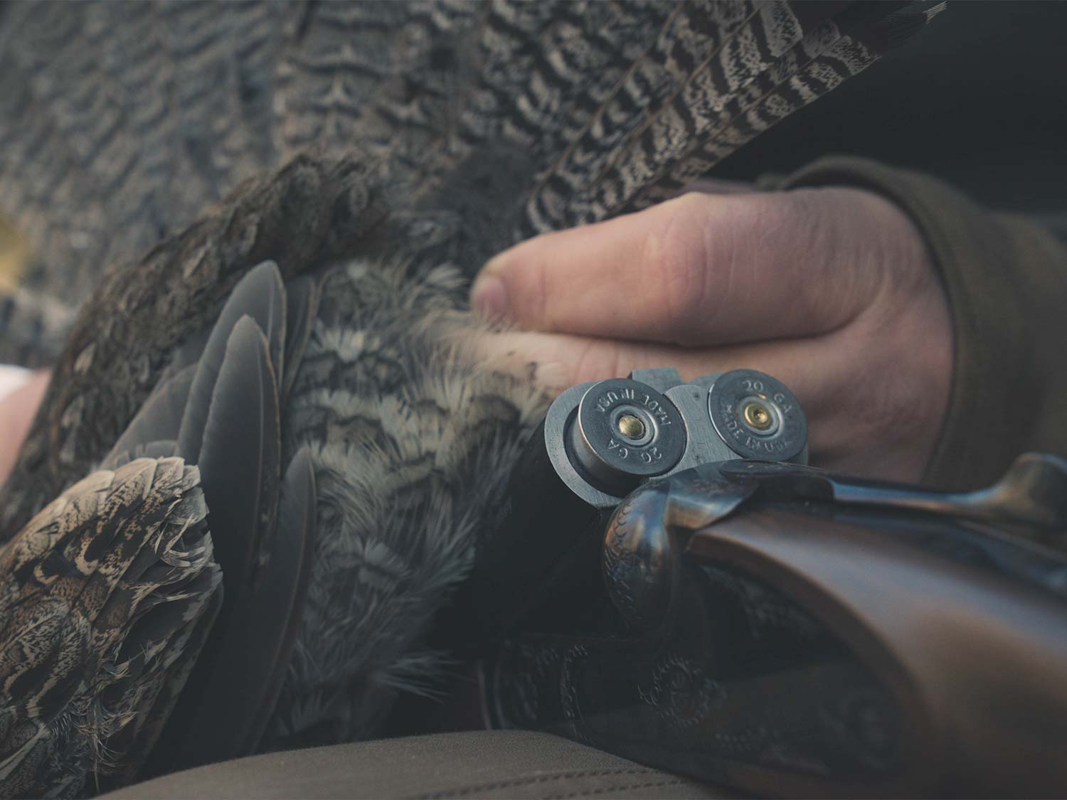 A hunter checks shotshells in a side-by-side shotgun next to a grouse.