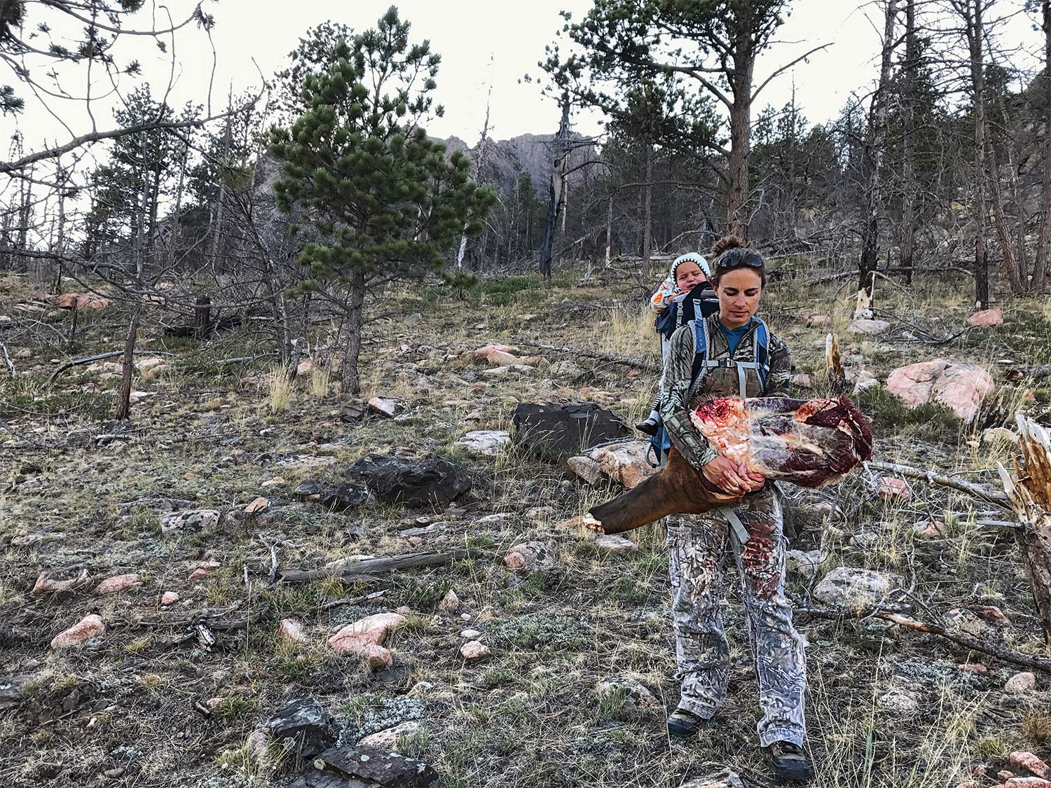 The author helps pack out her husband's elk while carrying her daughter on her back.
