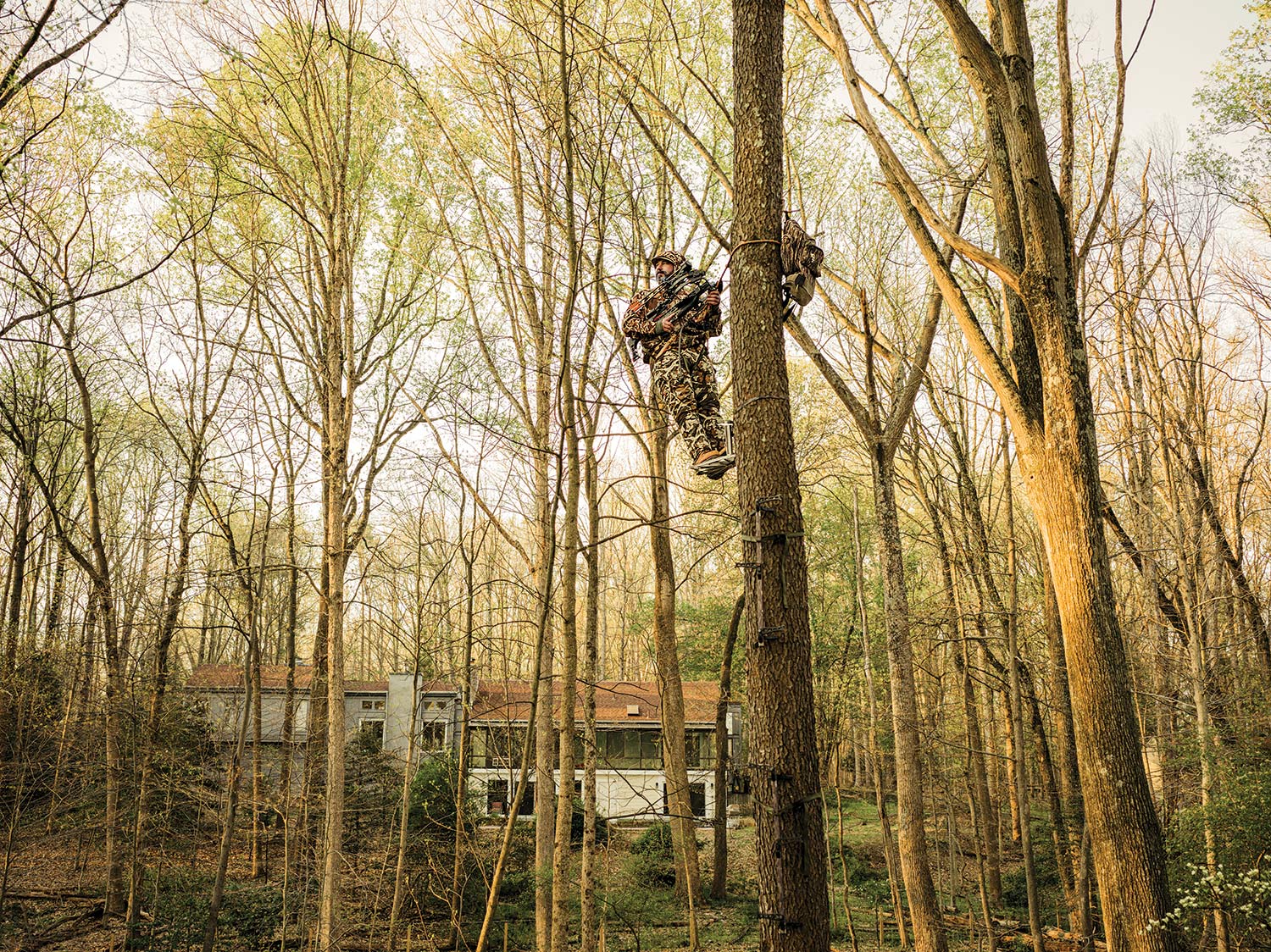 A hunter climbs up in a tree stand in his back yard.