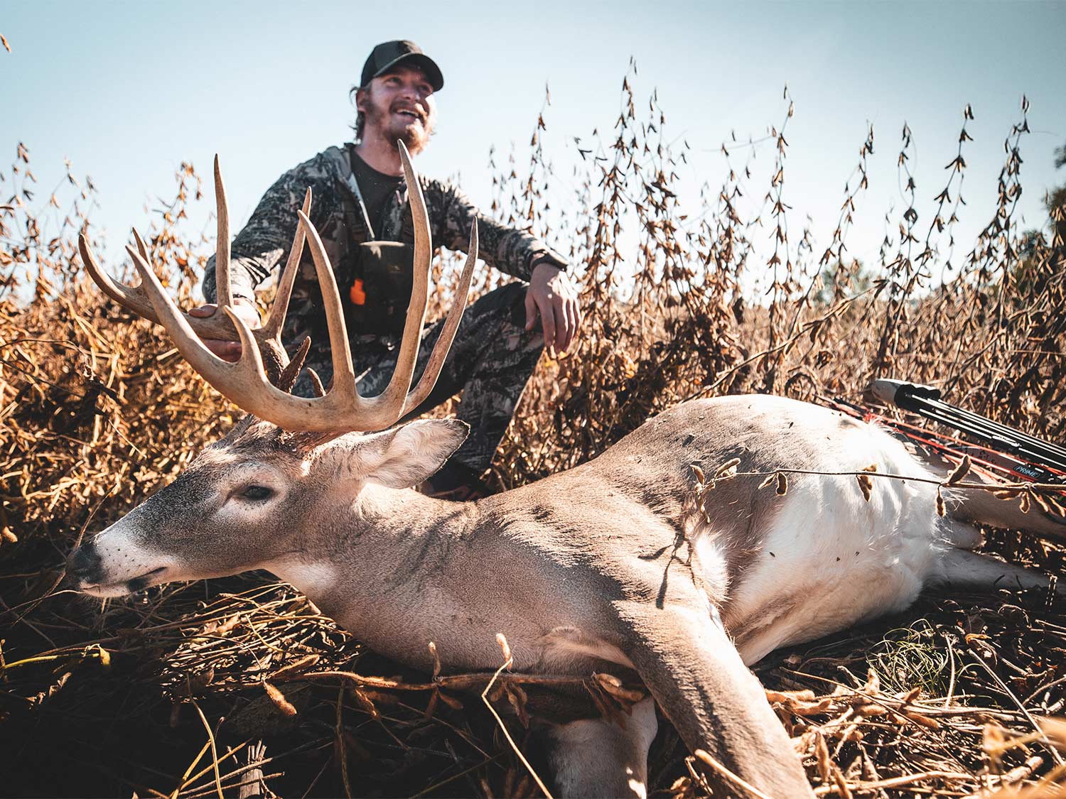 A hunter kneels behind a dropped whitetail buck in a large field.