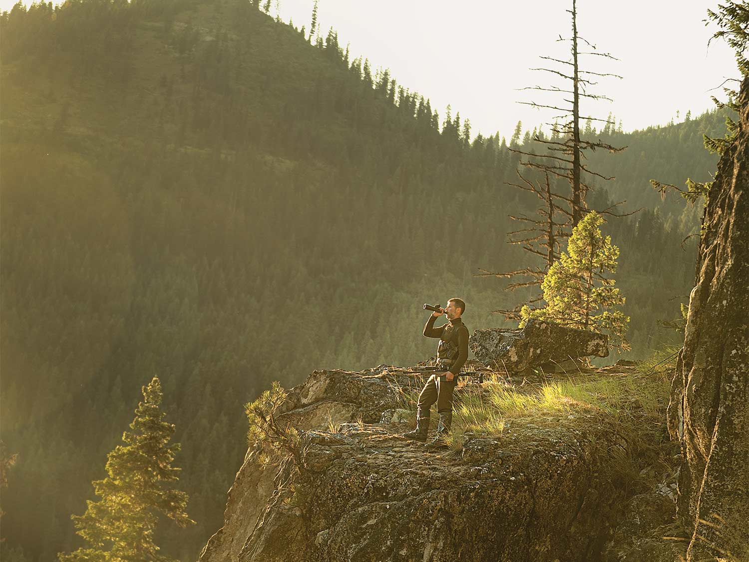 A hunter stands on a hillside scouting and calling for wolves. A forested mountain hillside is in the background.