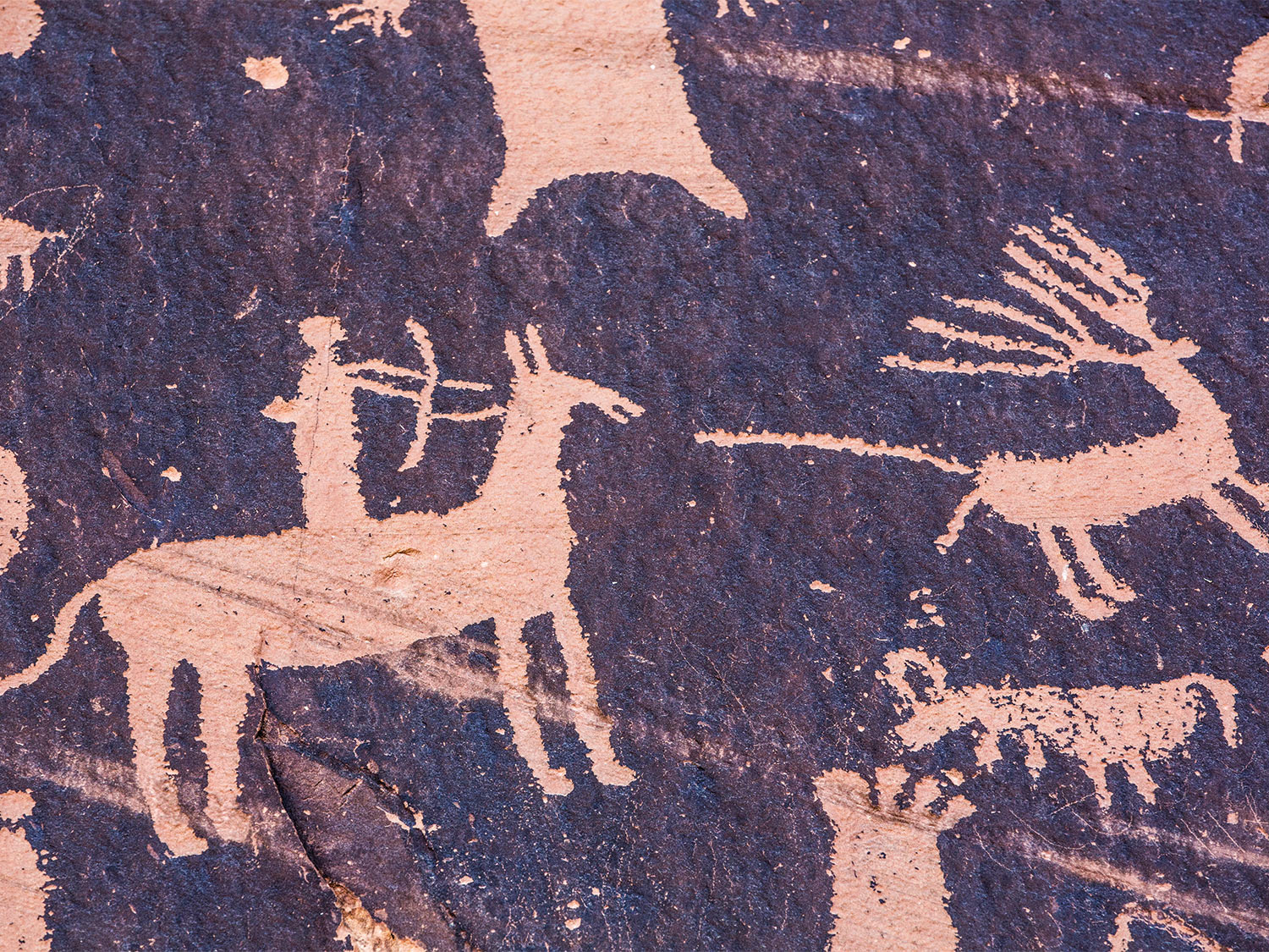 A petroglyph cave painting of a hunter firing an arrow at a deer.