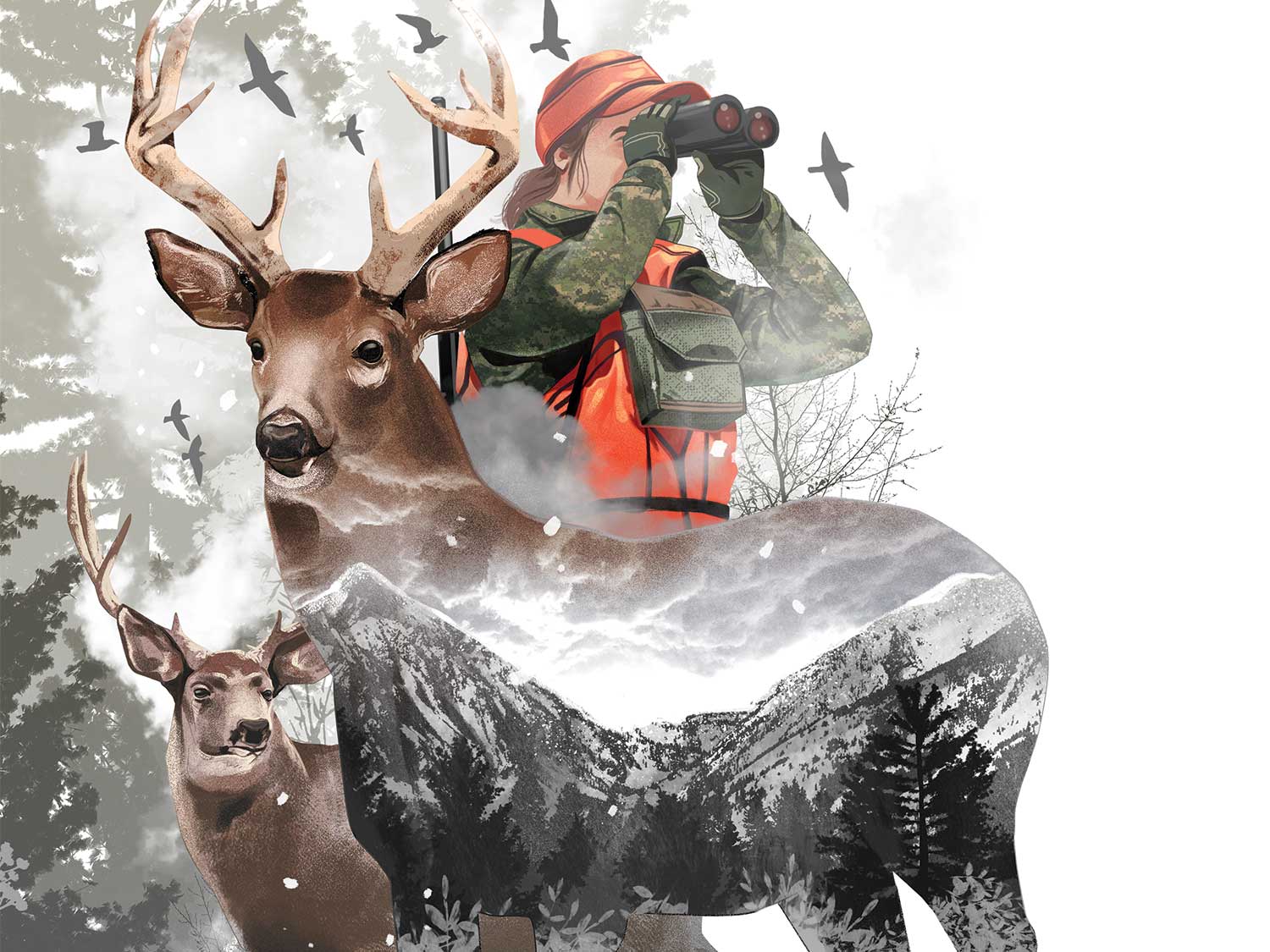 Illustration of a hunter using binoculars next to bucks, deer, and mountains.