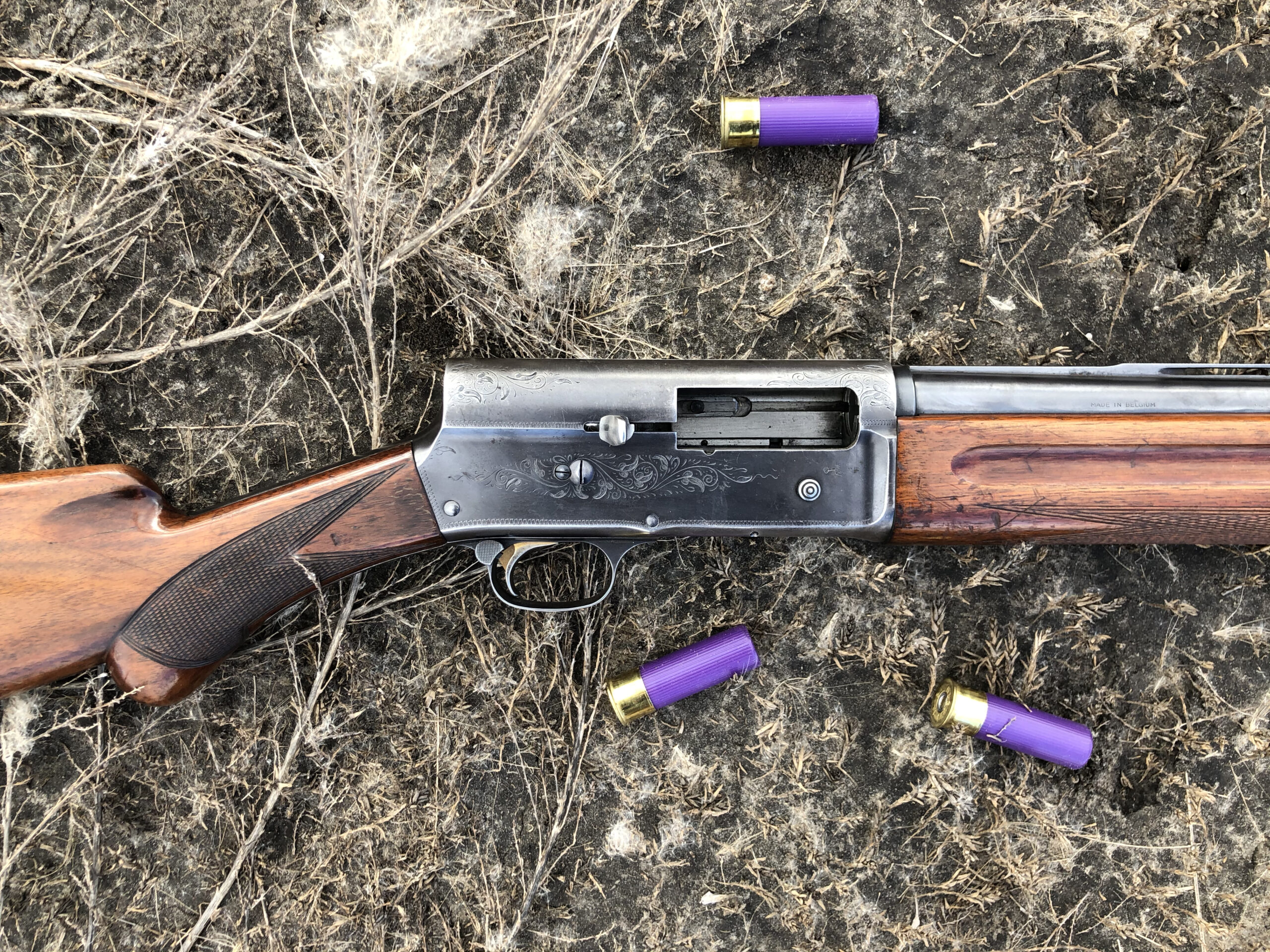 A semi-auto shotgun with a wood stock and three purple shotshells in the dirt.
