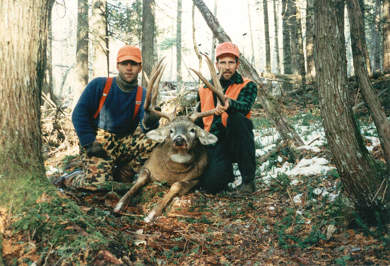 Two hunters kneel behind a large buck in the woods.