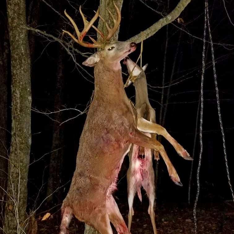 A buck hangs from a hunting camp hook.