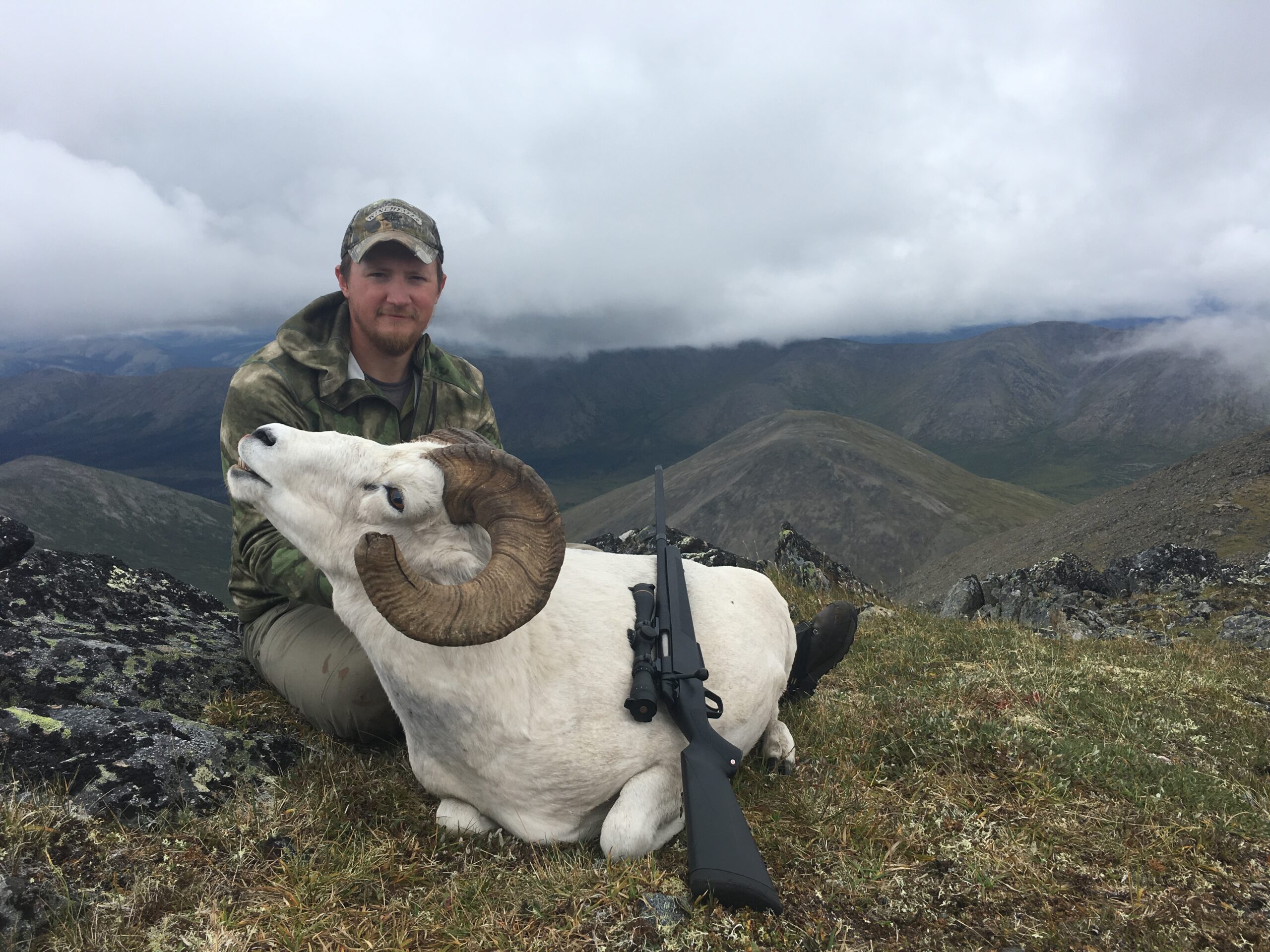 freel dall sheep winchester xpr