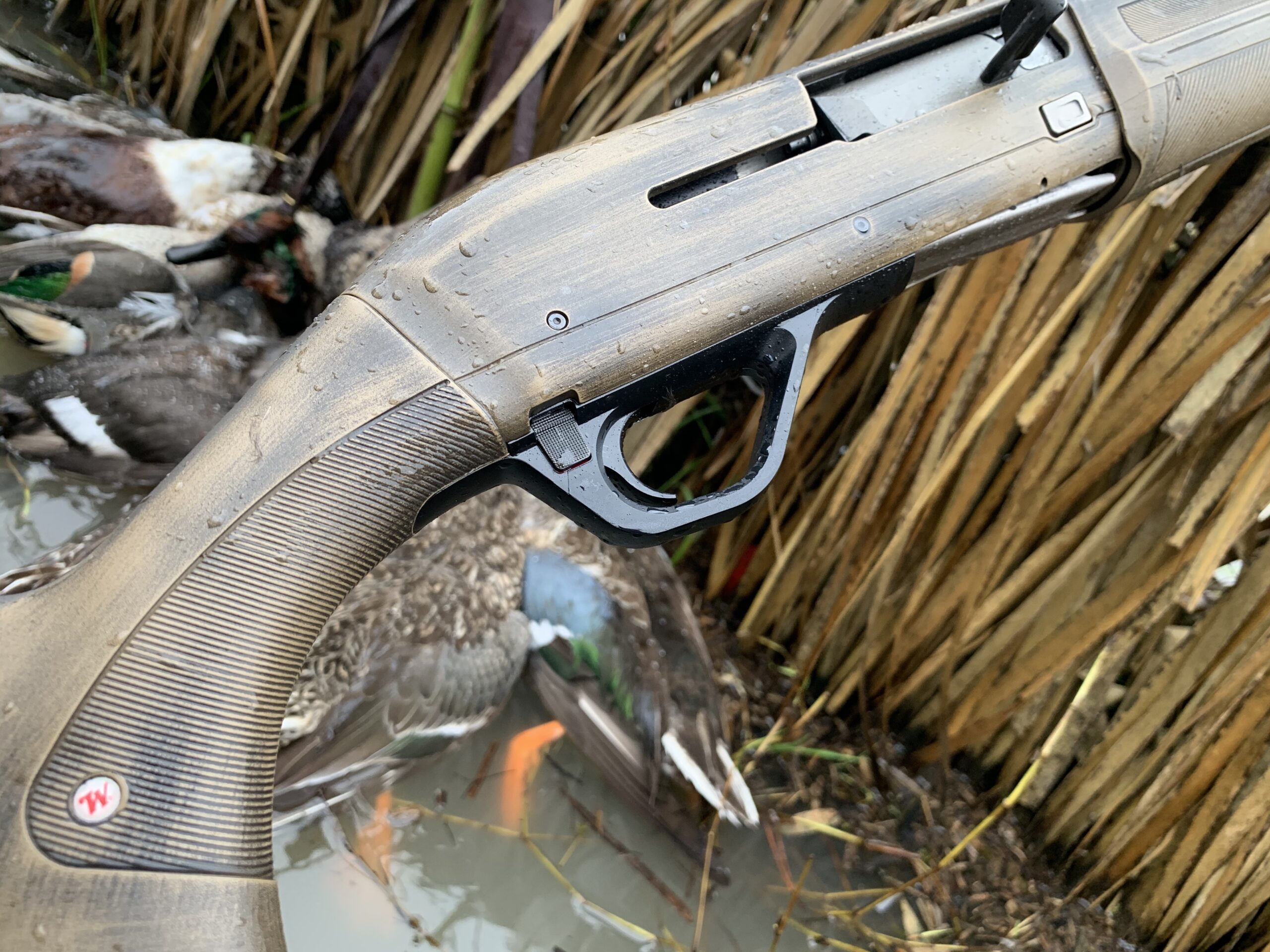 Putting the SX4 to the test on Texas ducks.