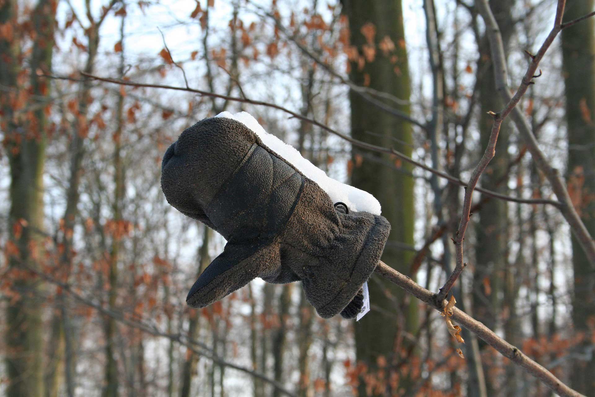 Winter glove covered in snow