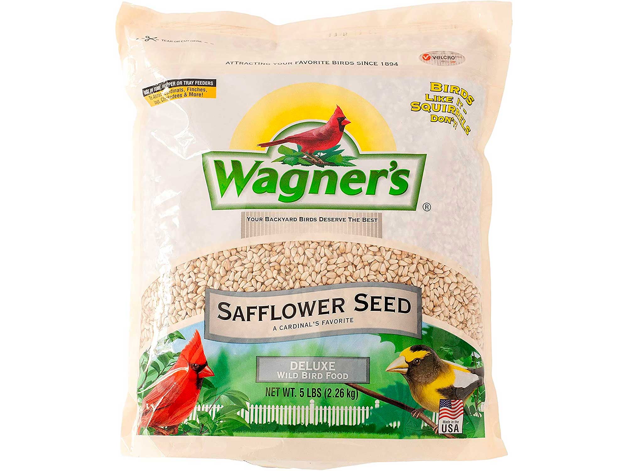 Wagner's safflower bird seed