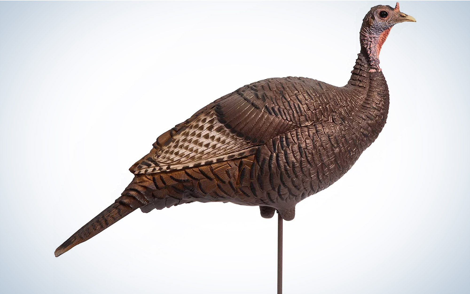 We tested the Dave Smith Decoys, Upright Hen.