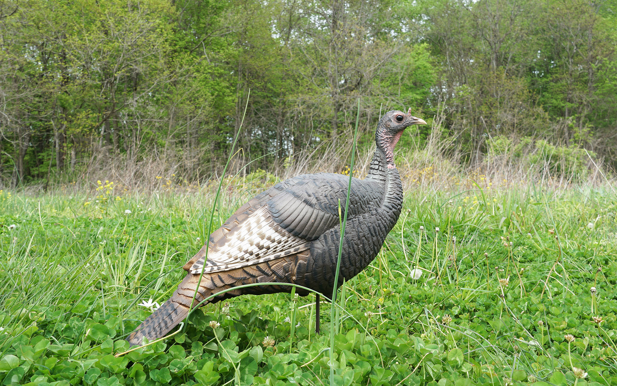 Dave Smith Decoys' Upright Hen is ultra-realistic.