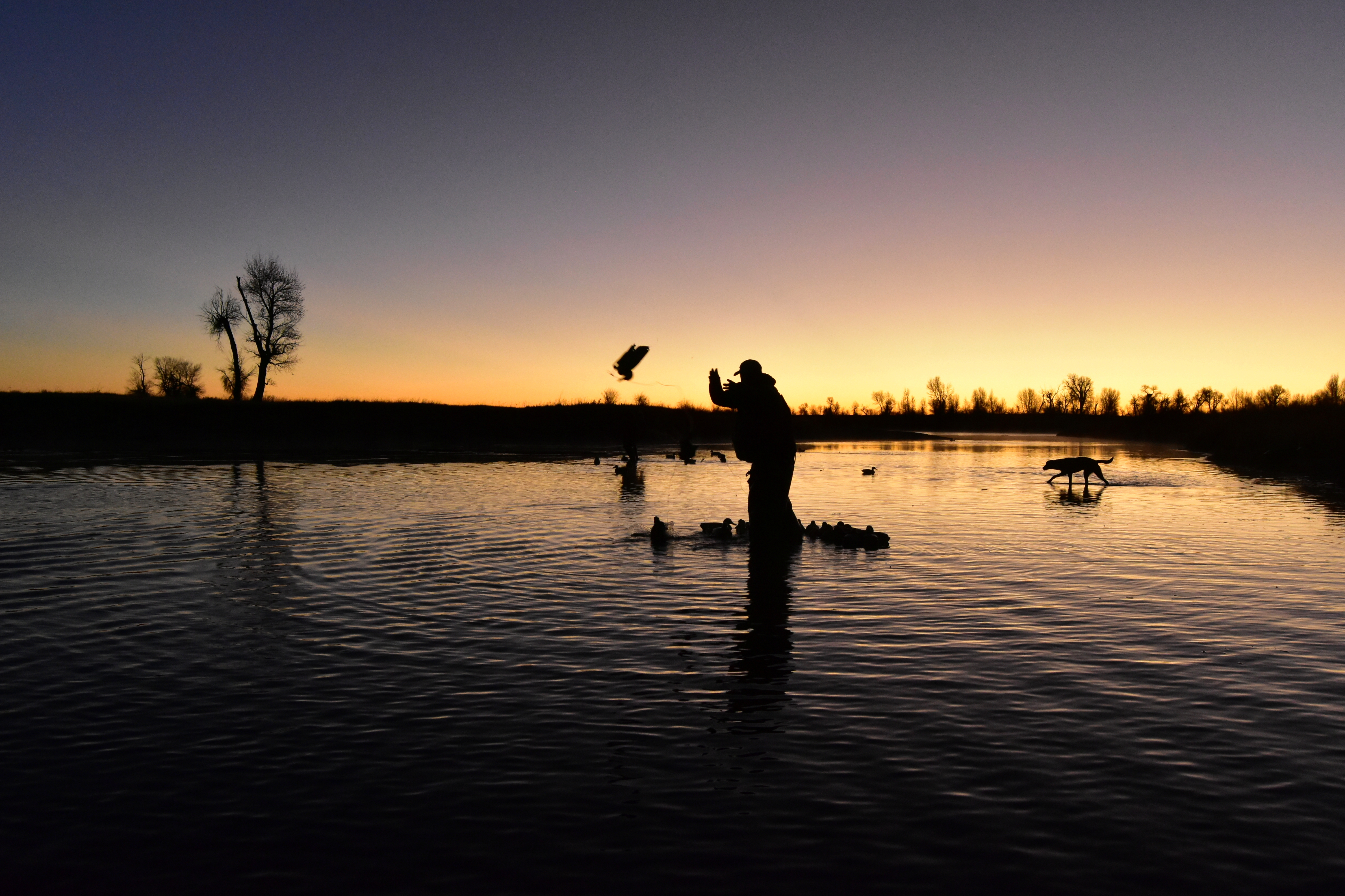 A duck hunter tosses out decoys in the pre-dawn light.