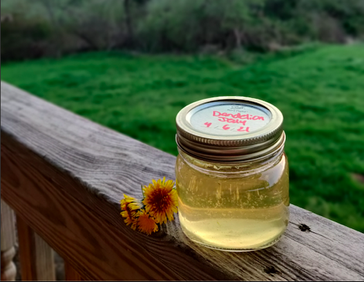 Spring is the best time of year to make a batch of dandelion jelly.
