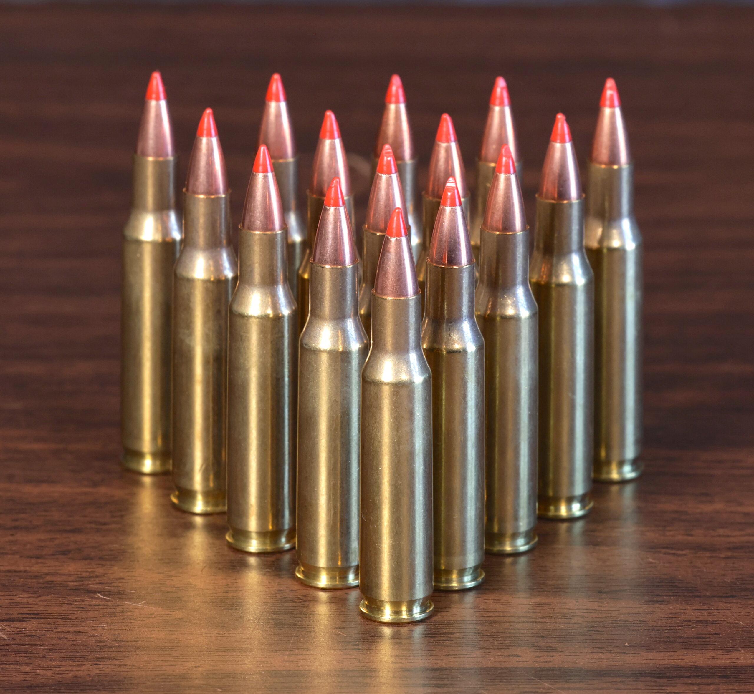 The .222 died, but it also became the parent case for a variety of now famous rifle cartridges.