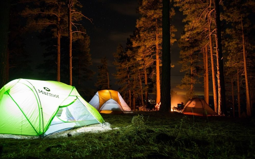 Two lighten tents, green and orange tents into the forest in a dark night.