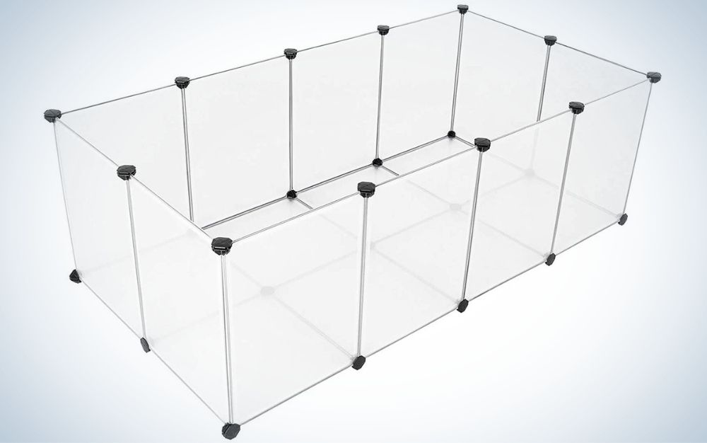 A glass fence cage with bottom for small animals.