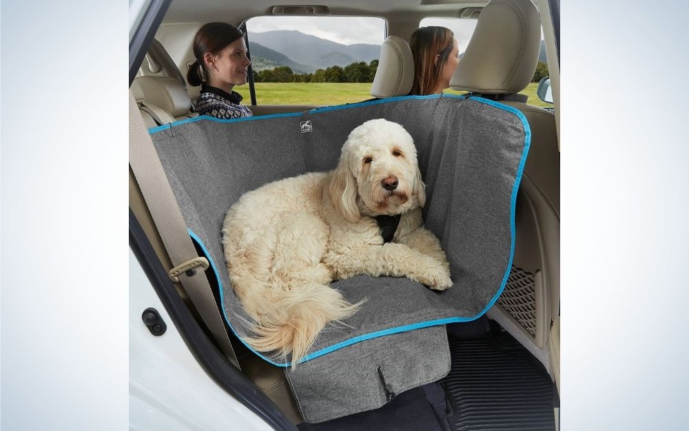 A big white dog standing at the back car seat over a grey cover for dogs.