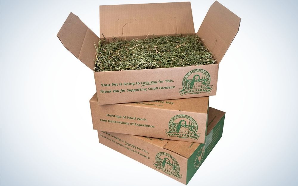 Three cardboard boxes with green writing on them and green grass inside them.