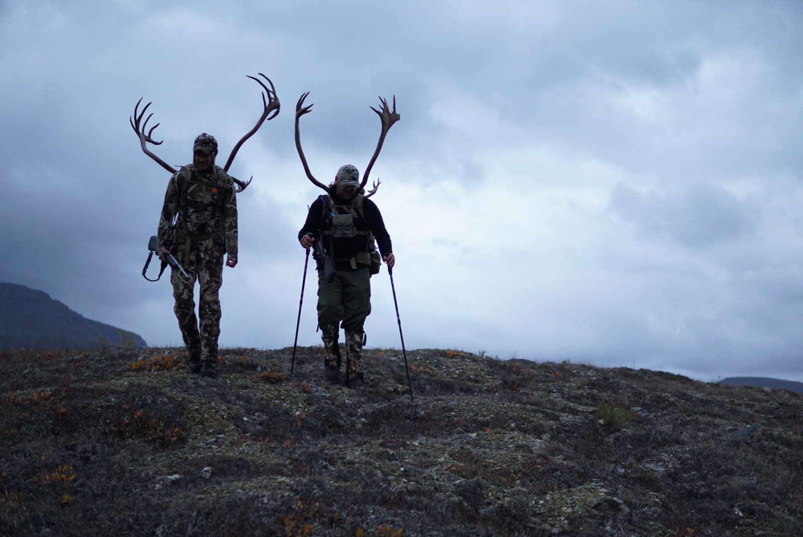 Two non-resident caribou hunters packing out meat and antlers in the proposed closure area.