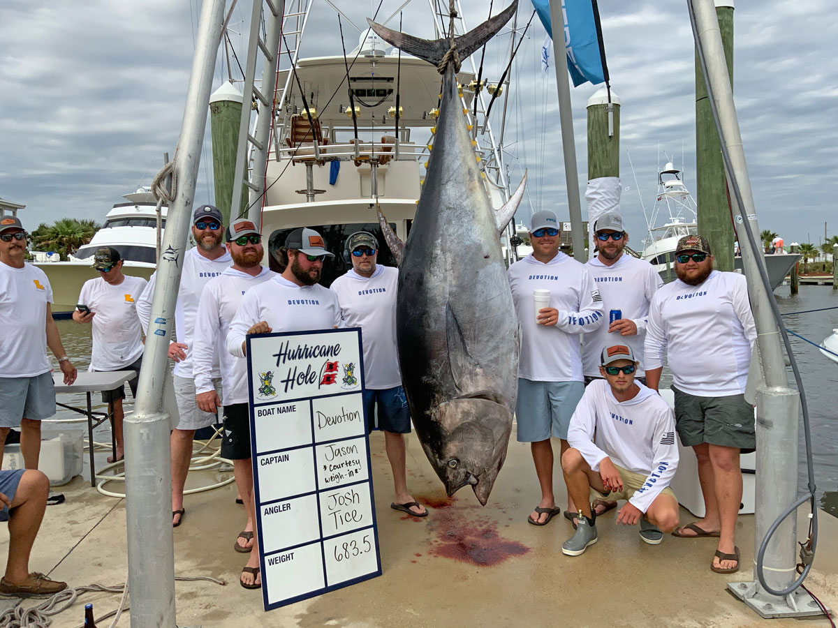 A Louisiana bluefin tuna weighing in at 683 pounds.