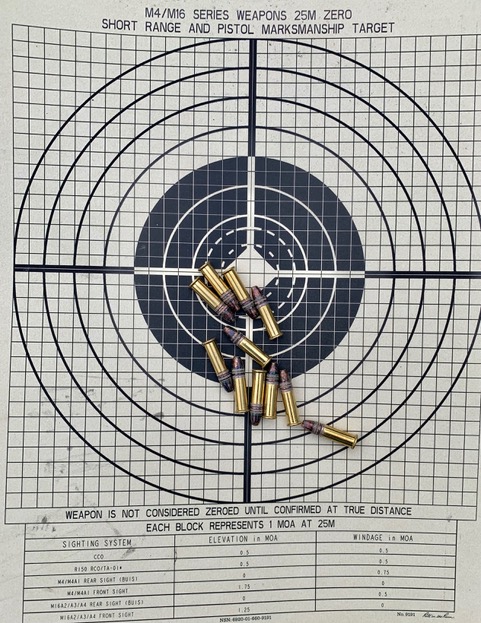 22 rimfire target with ammo